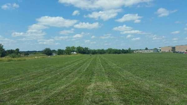 Green field with freshly mowed rows, trees in the distance under a blue sky with fluffy white clouds.