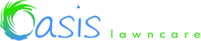 A blurry picture of the word logo on a white background.