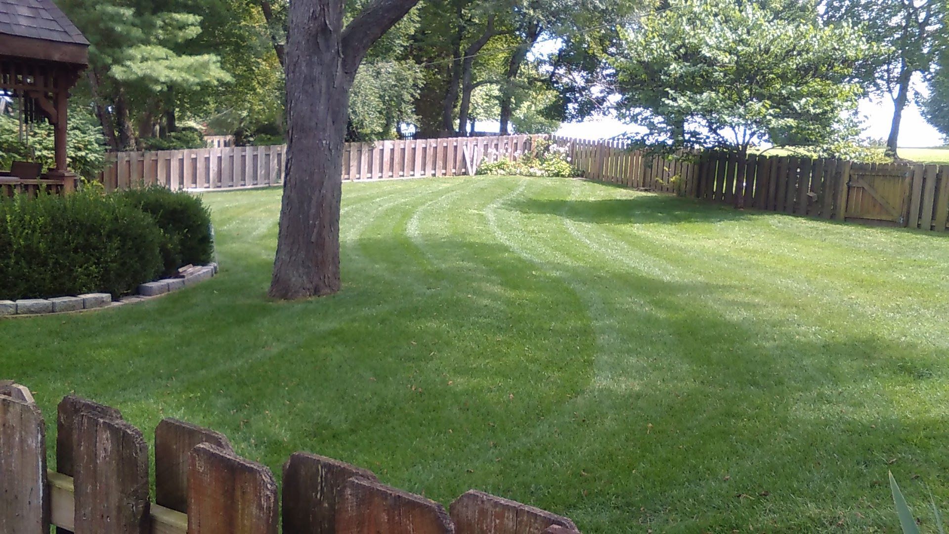 Lawn with a tree, bordered by a wooden fence and greenery, with a gazebo visible in the background.