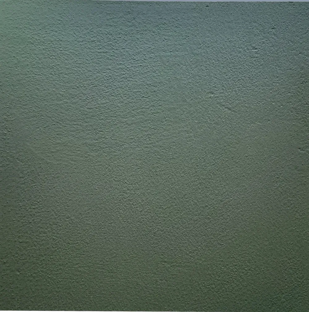 Monochromatic, textured, dark green square.