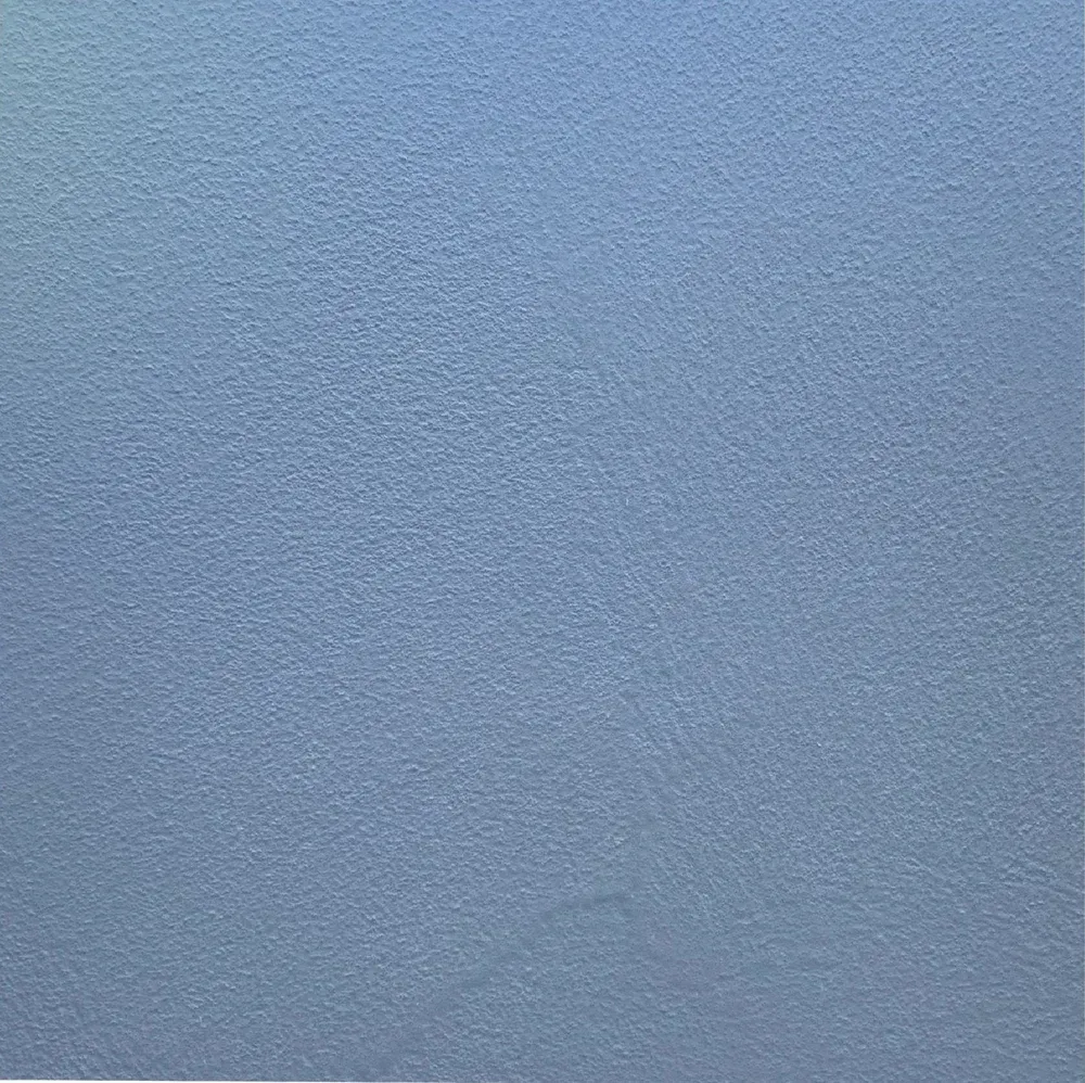 Light blue textured background.