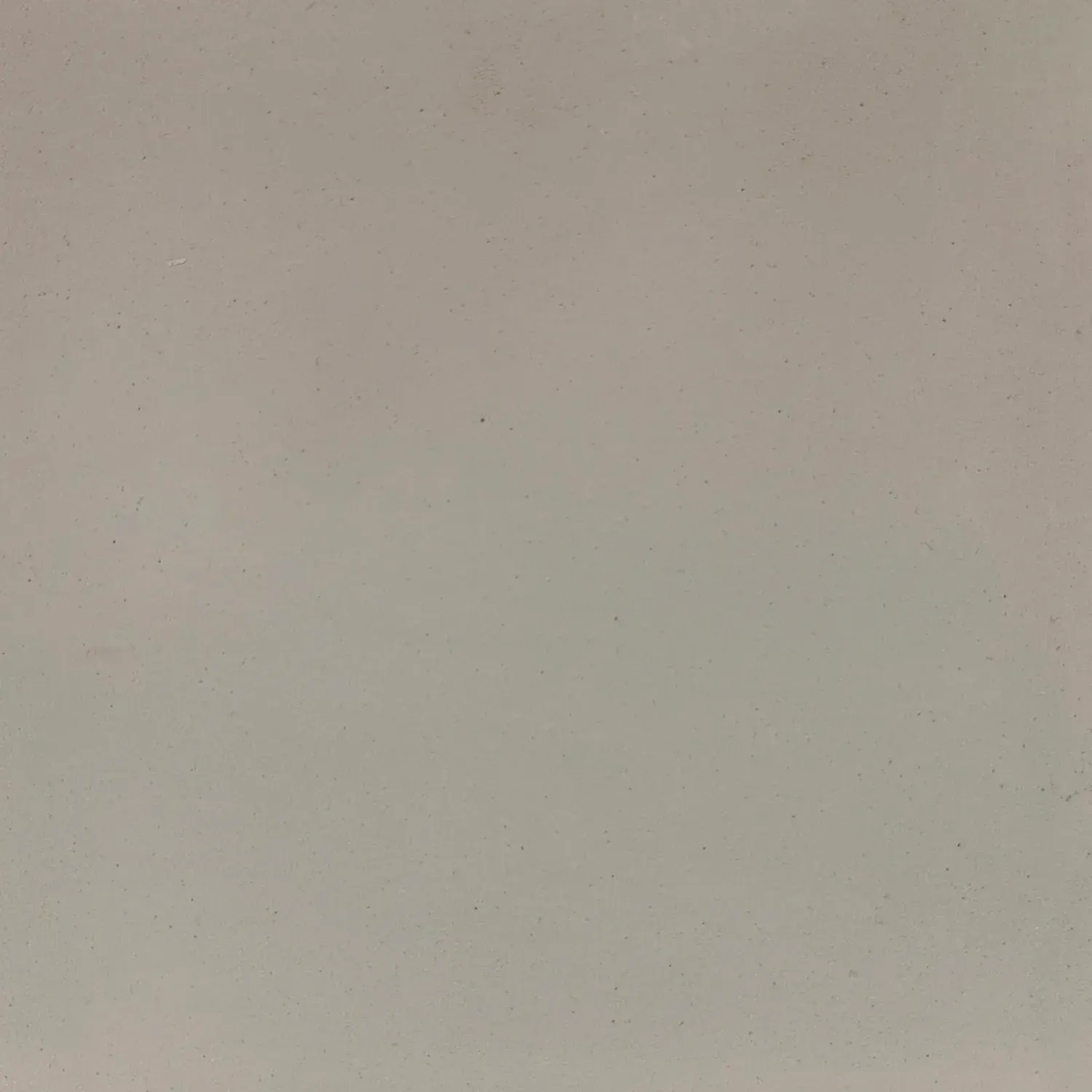 Plain, light gray background with slight texture.