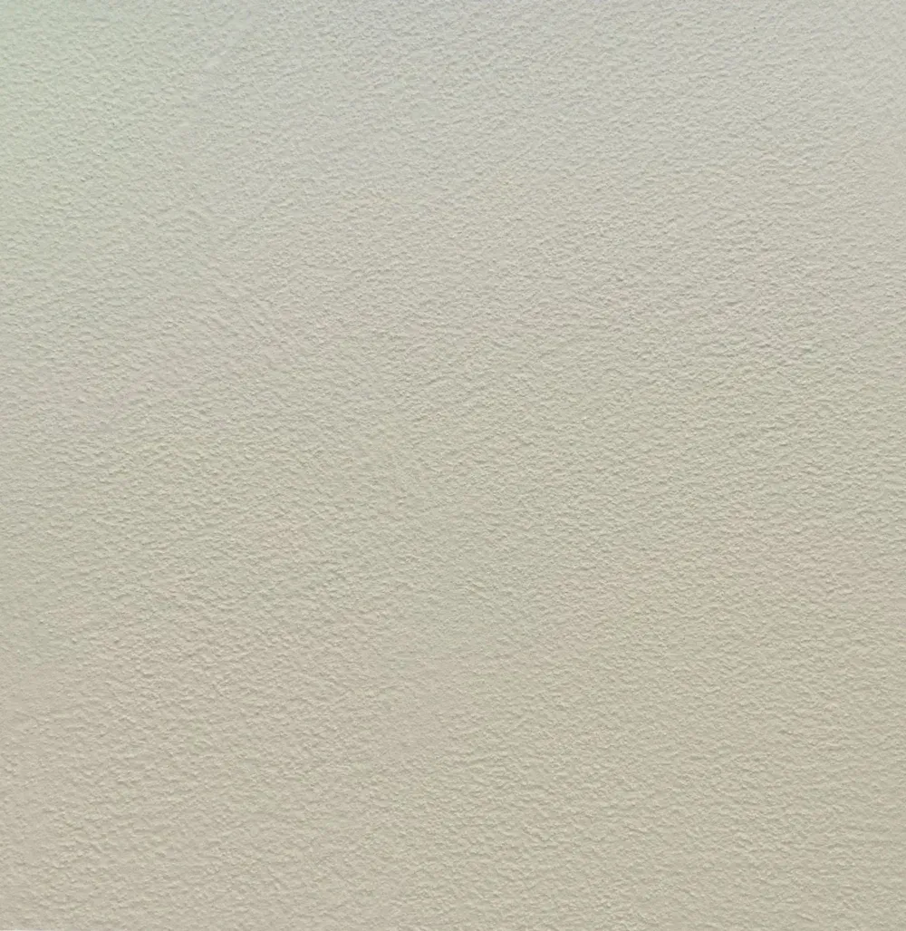 Close-up of a light beige textured wall surface