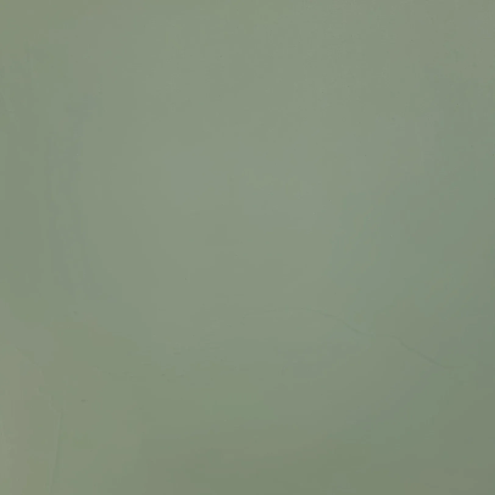 Solid, muted light green background.