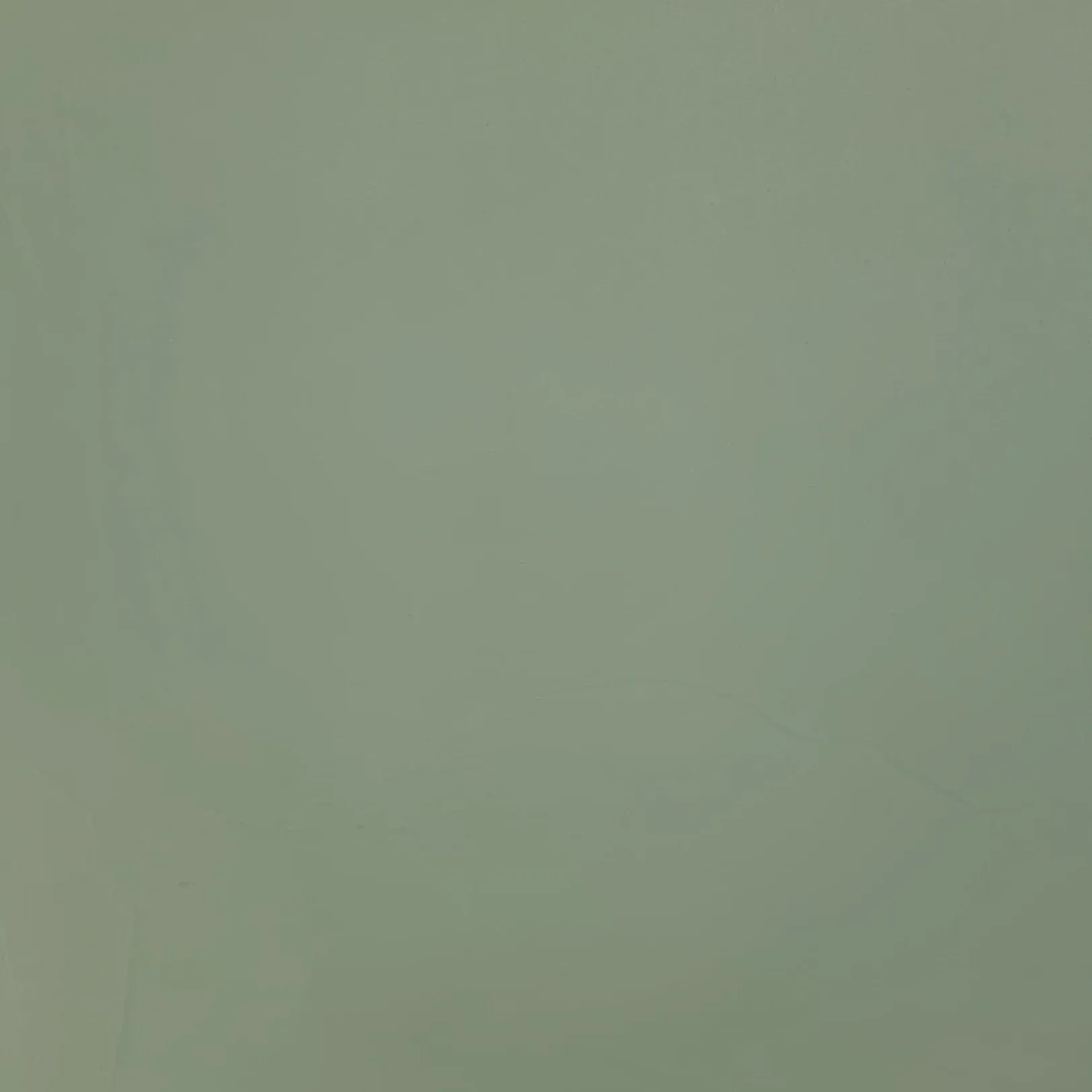Solid, muted light green background.