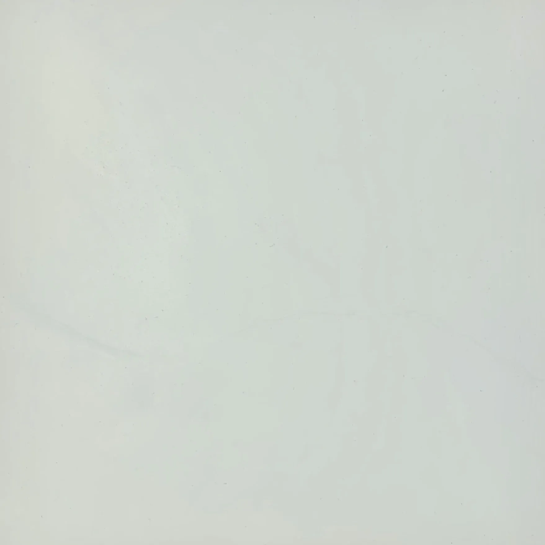 White textured background.