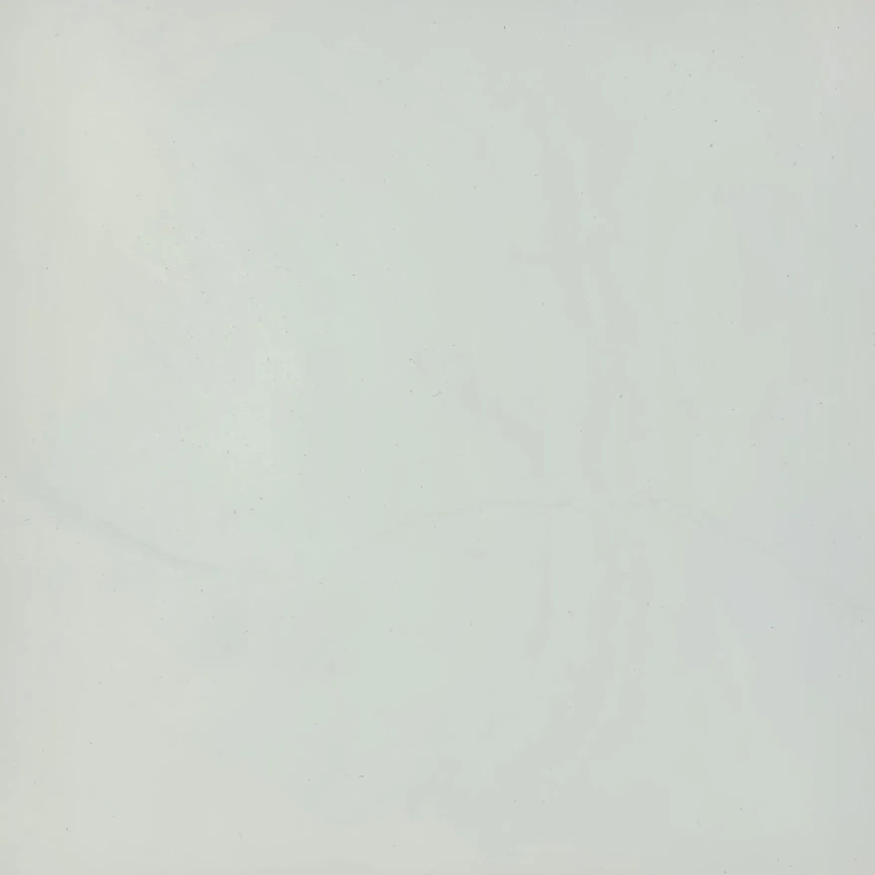 White textured background.