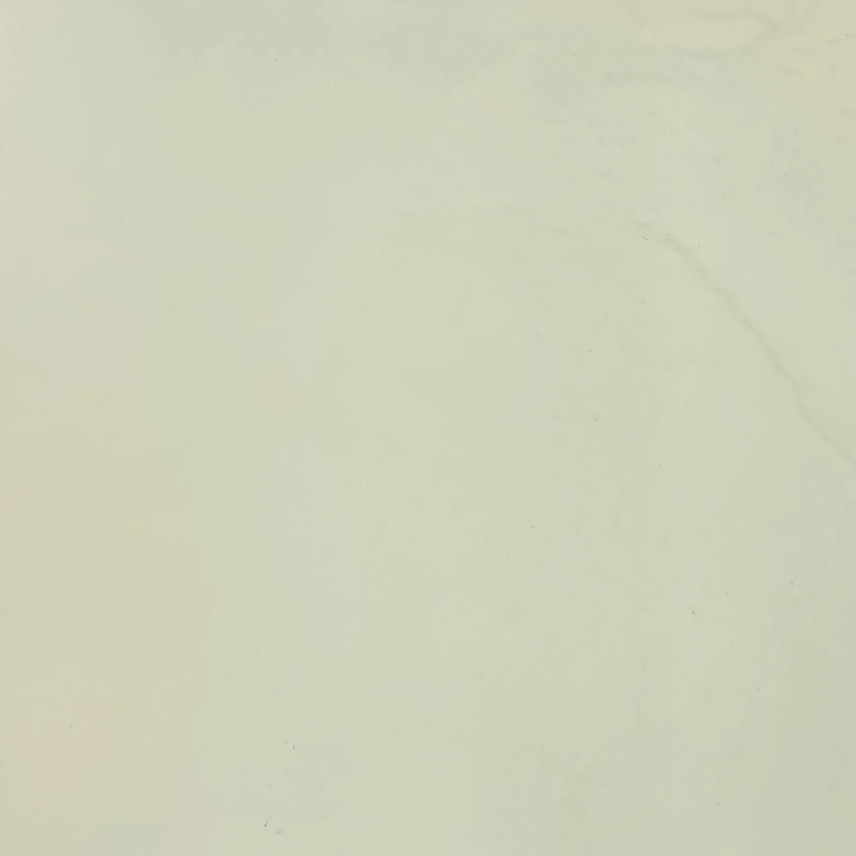 Pale yellow-green background.