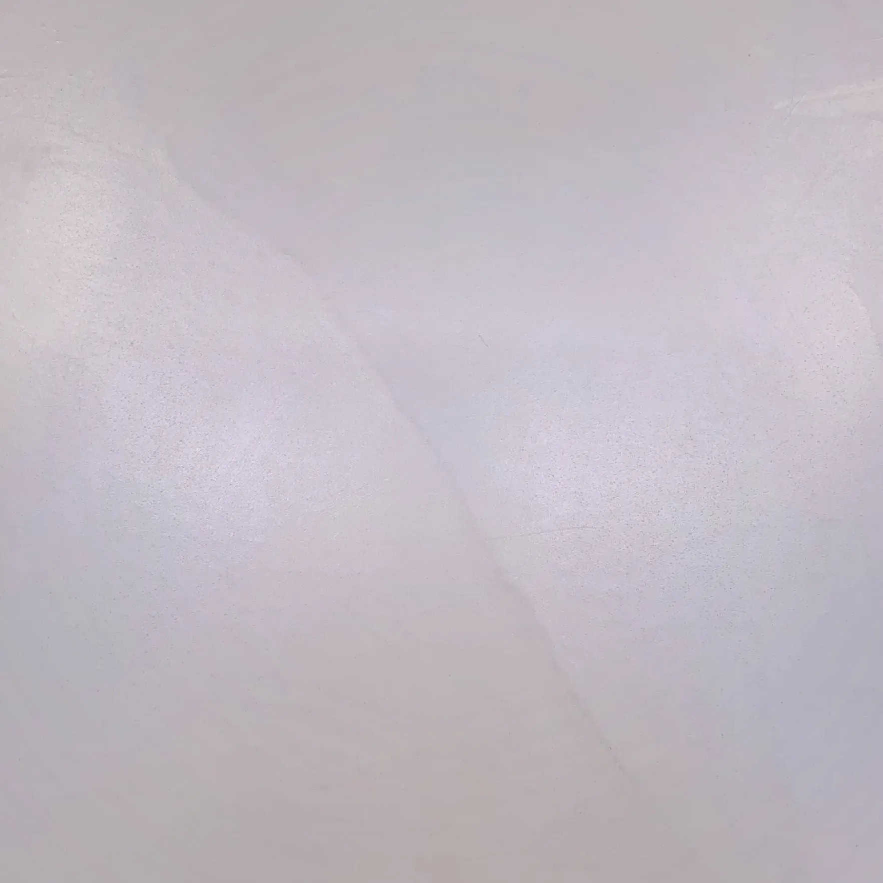 Blurred white background with subtle variations in light and shadow.