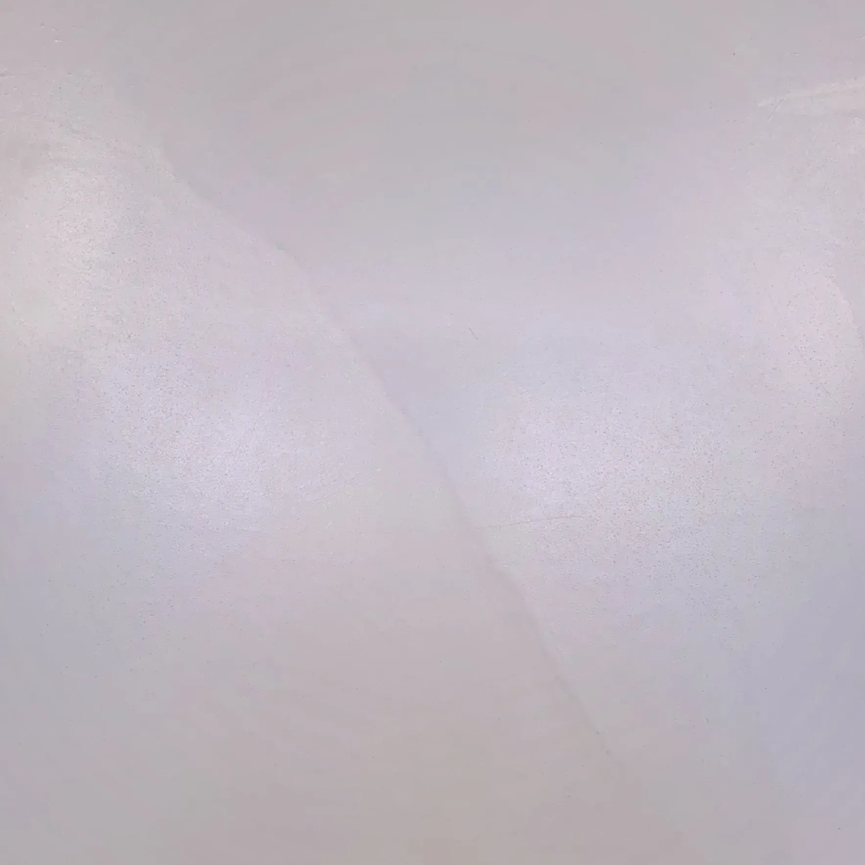 Blurred white background with subtle variations in light and shadow.