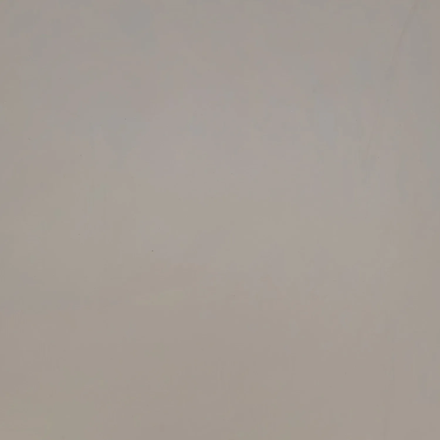 Solid, neutral gray background.