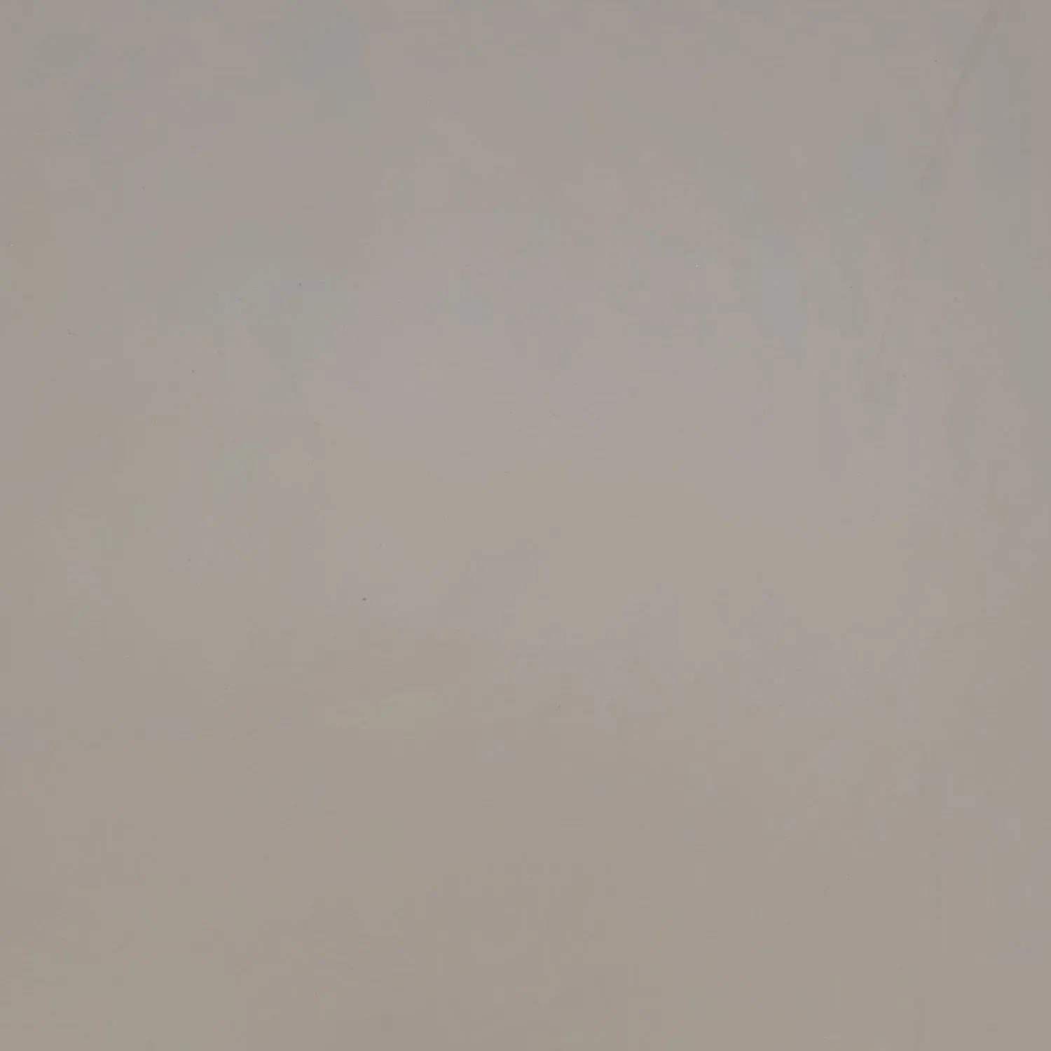 Solid, neutral gray background.