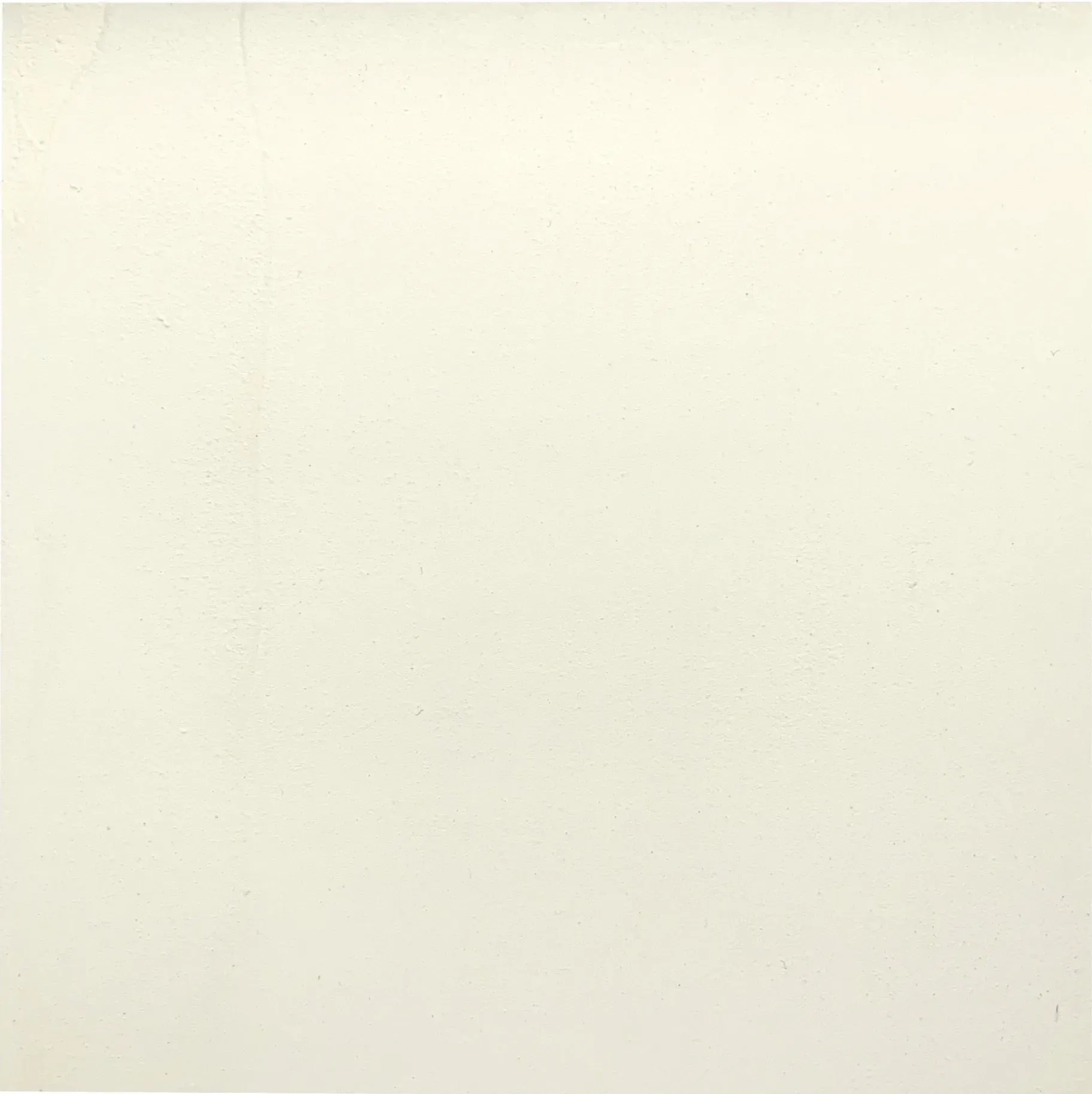 Off-white square with subtle variation in tone.