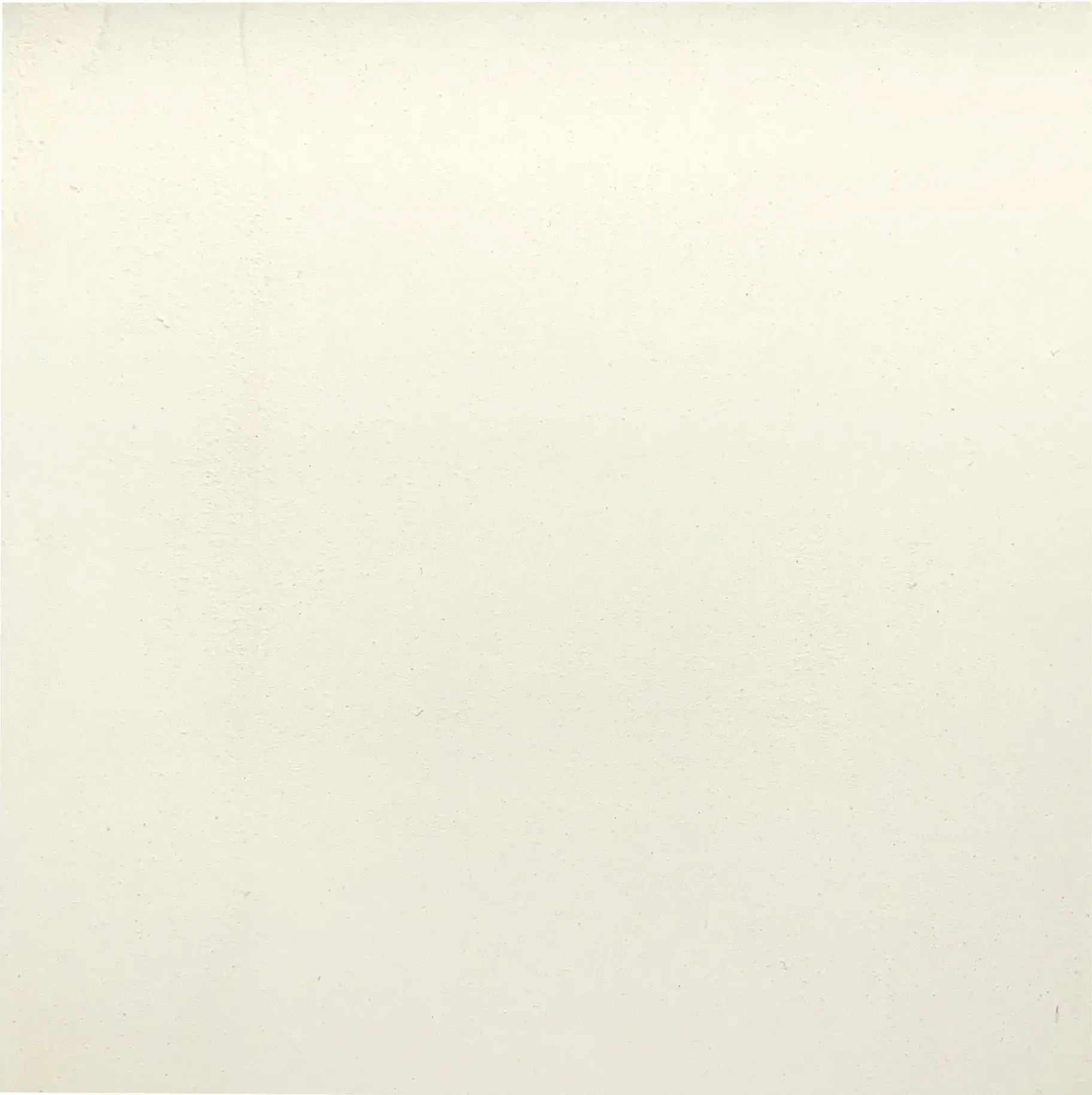 Off-white square with subtle variation in tone.