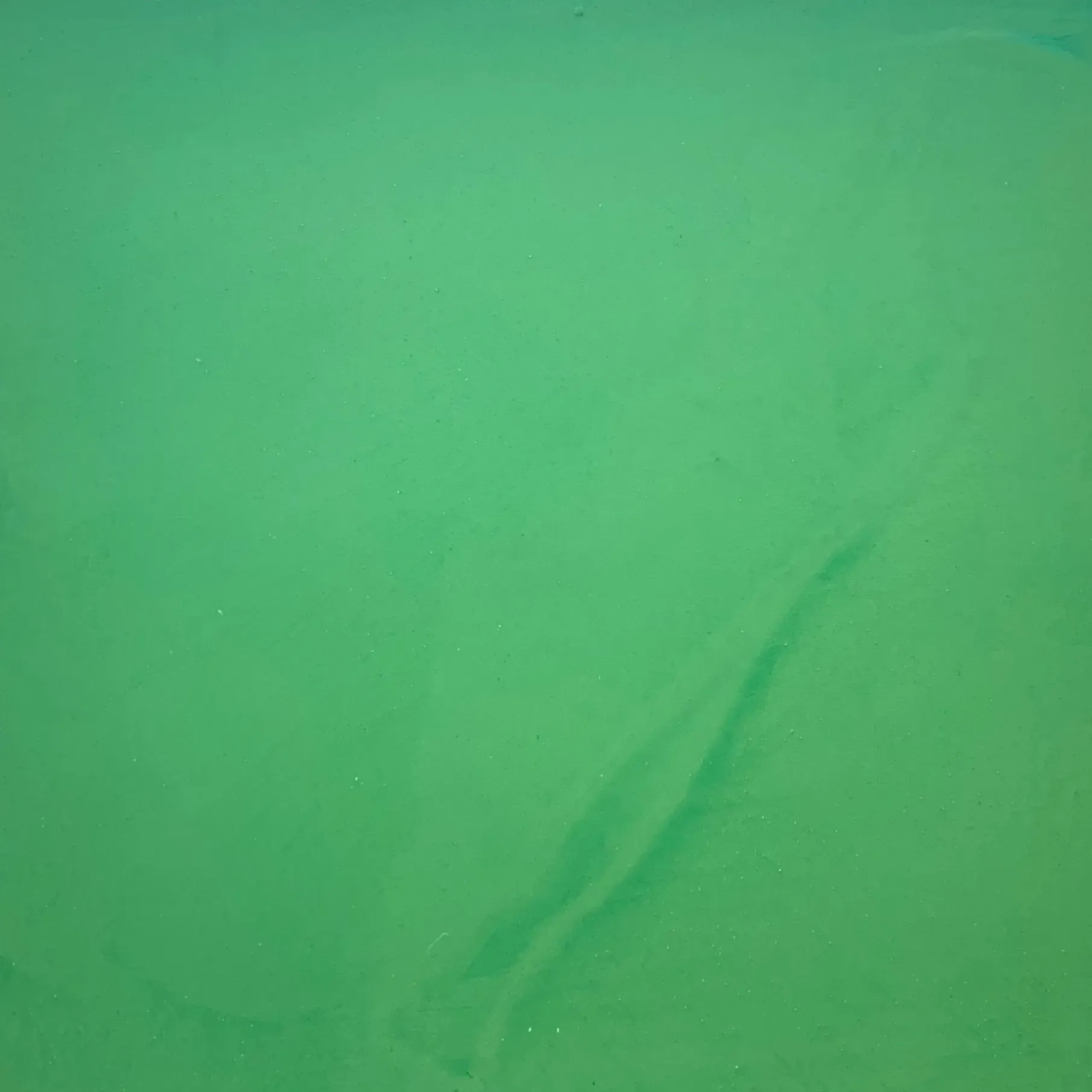 Green surface with subtle, lighter-toned markings or streaks.