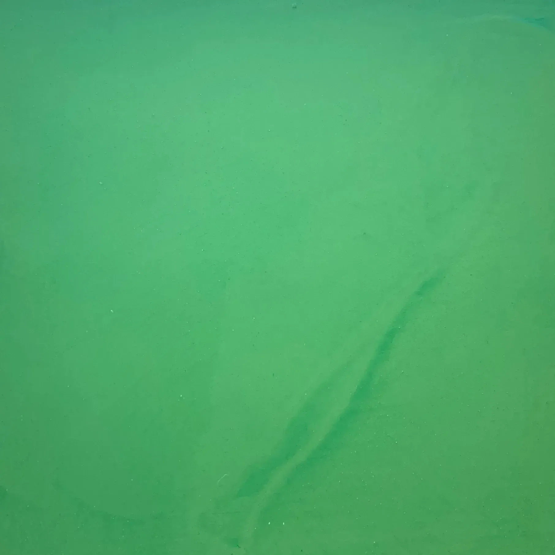 Green surface with subtle, lighter-toned markings or streaks.