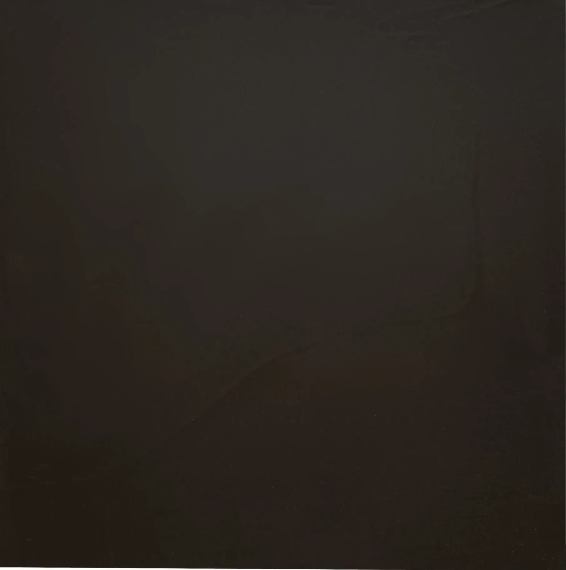 Solid dark brown square.