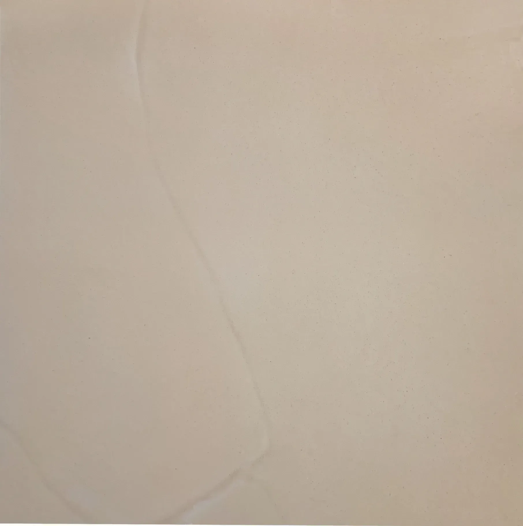Plain, pale tan background.