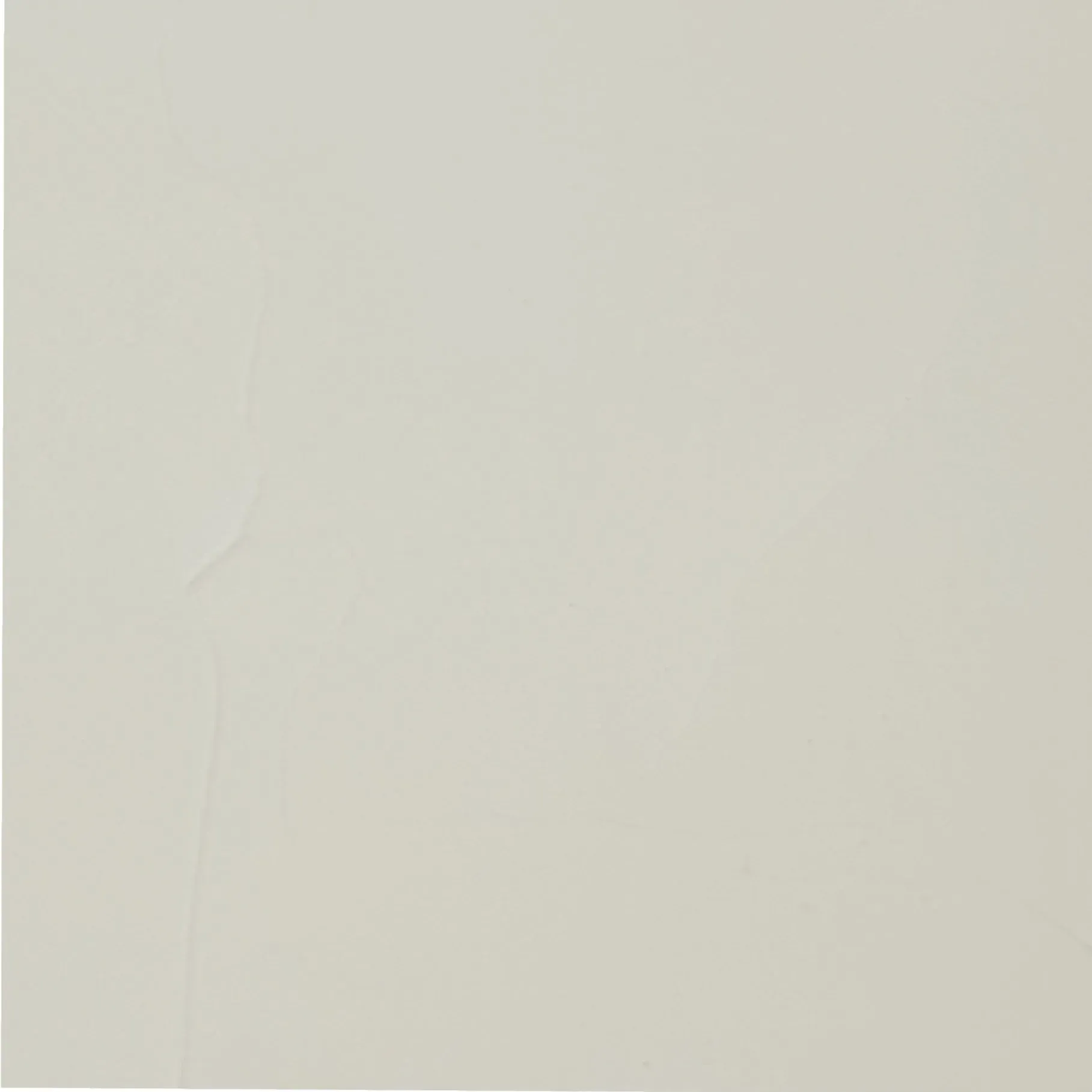 Off-white square with subtle texture.