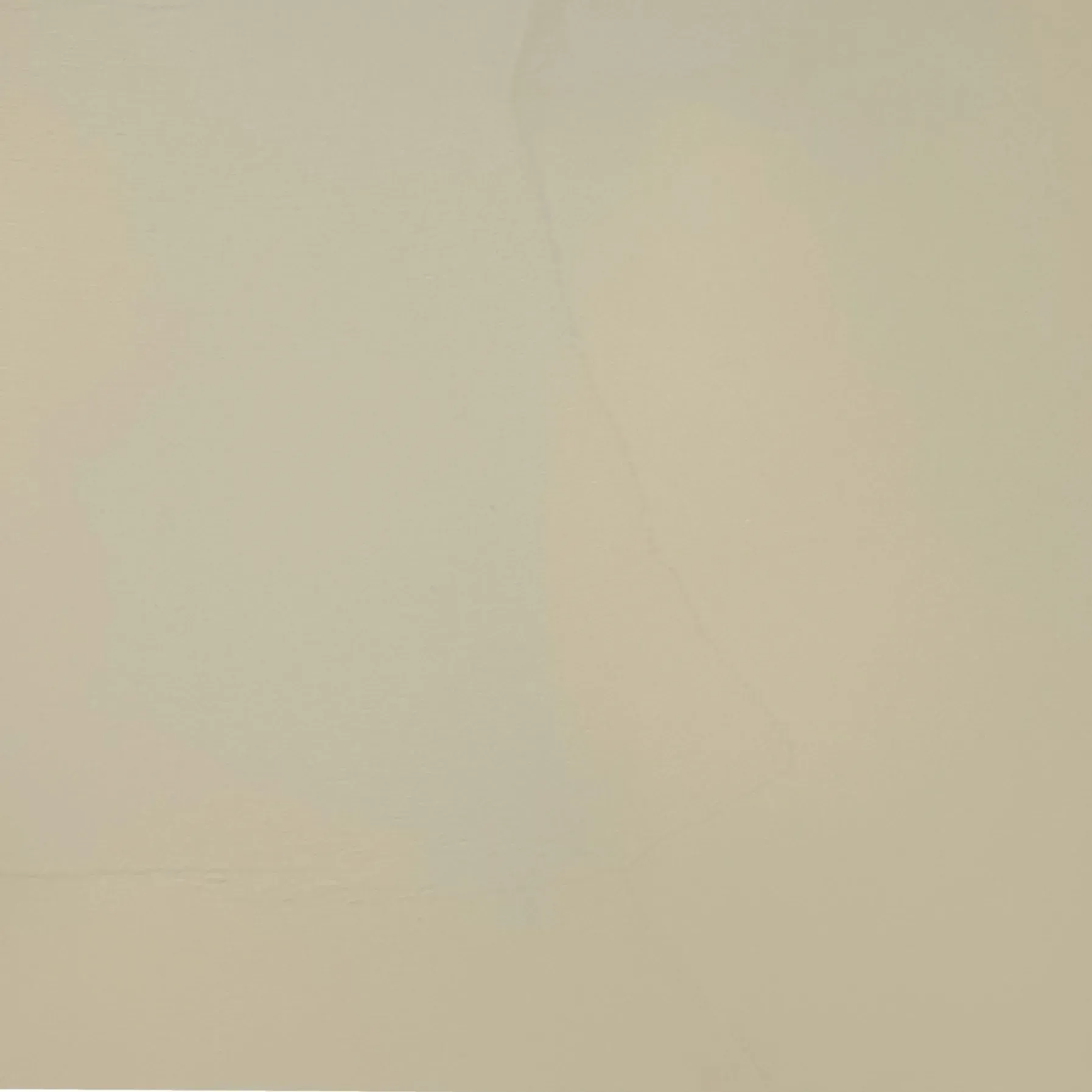 Pale beige background.