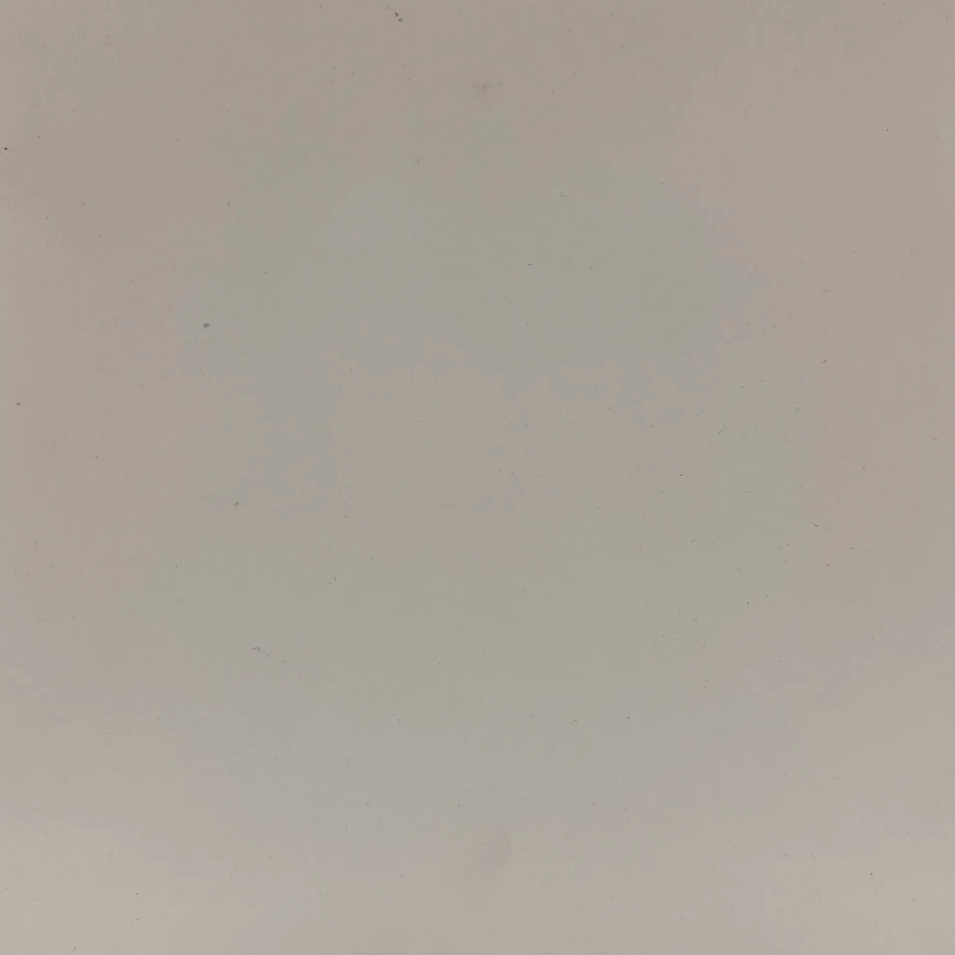 Pale, slightly textured, off-white background.