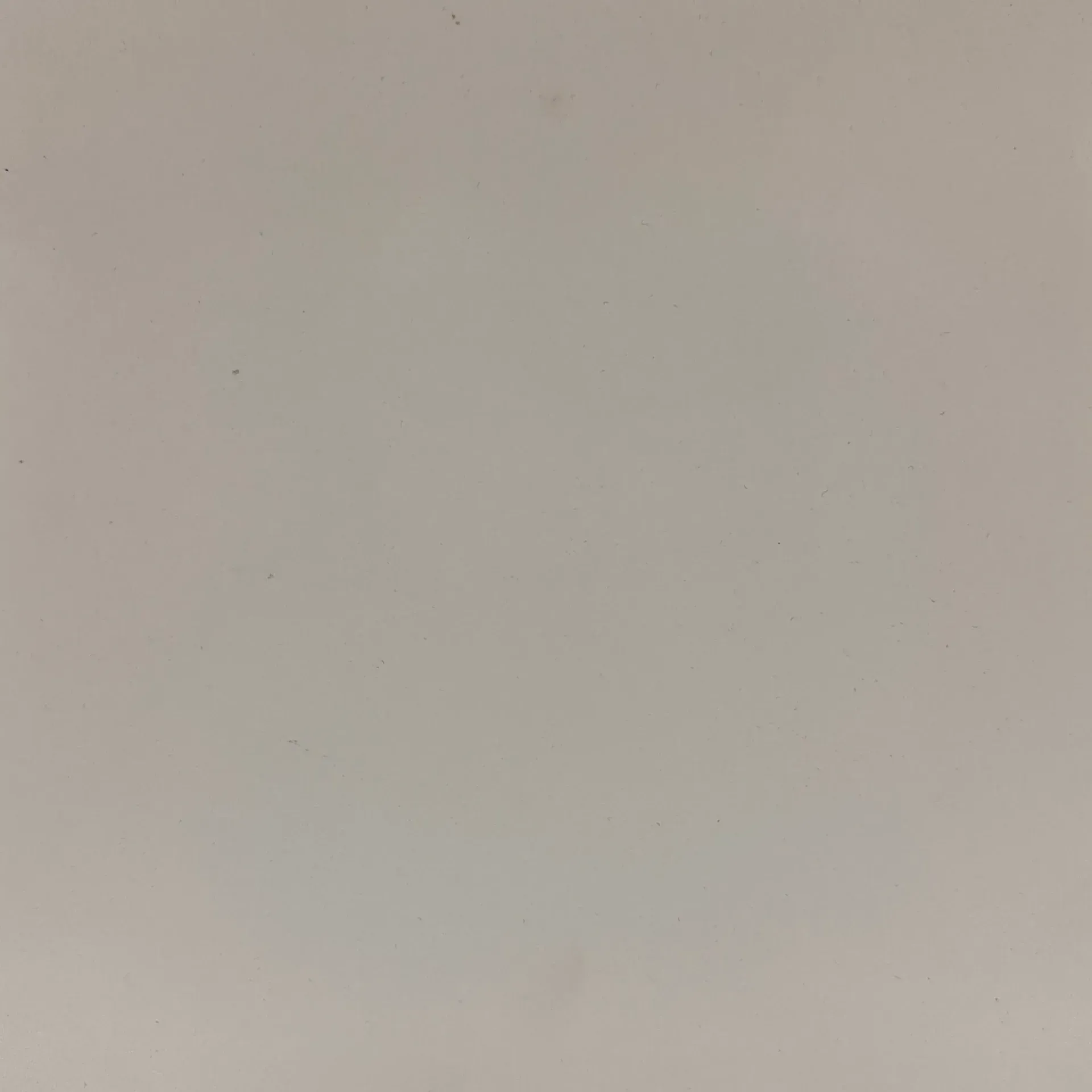 Pale, slightly textured, off-white background.