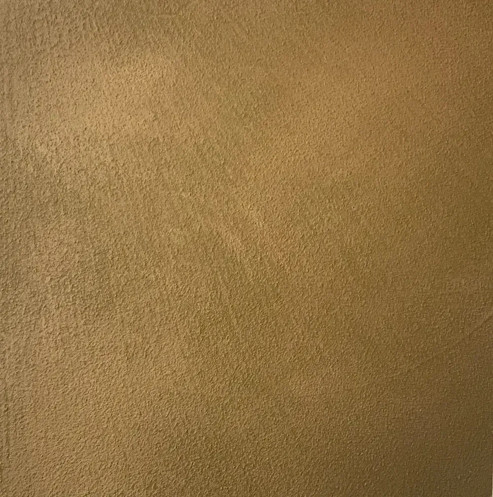 Textured tan-brown surface filling the frame