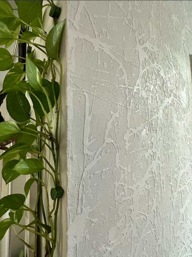 Potted green vine beside a textured white wall with soft sunlight