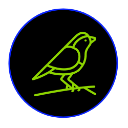 a bird is sitting on a branch in a circle .