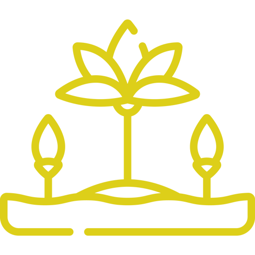 a yellow line drawing of a flower growing out of the ground .
