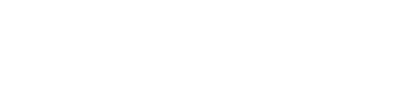 Camelot White Logo - Footer