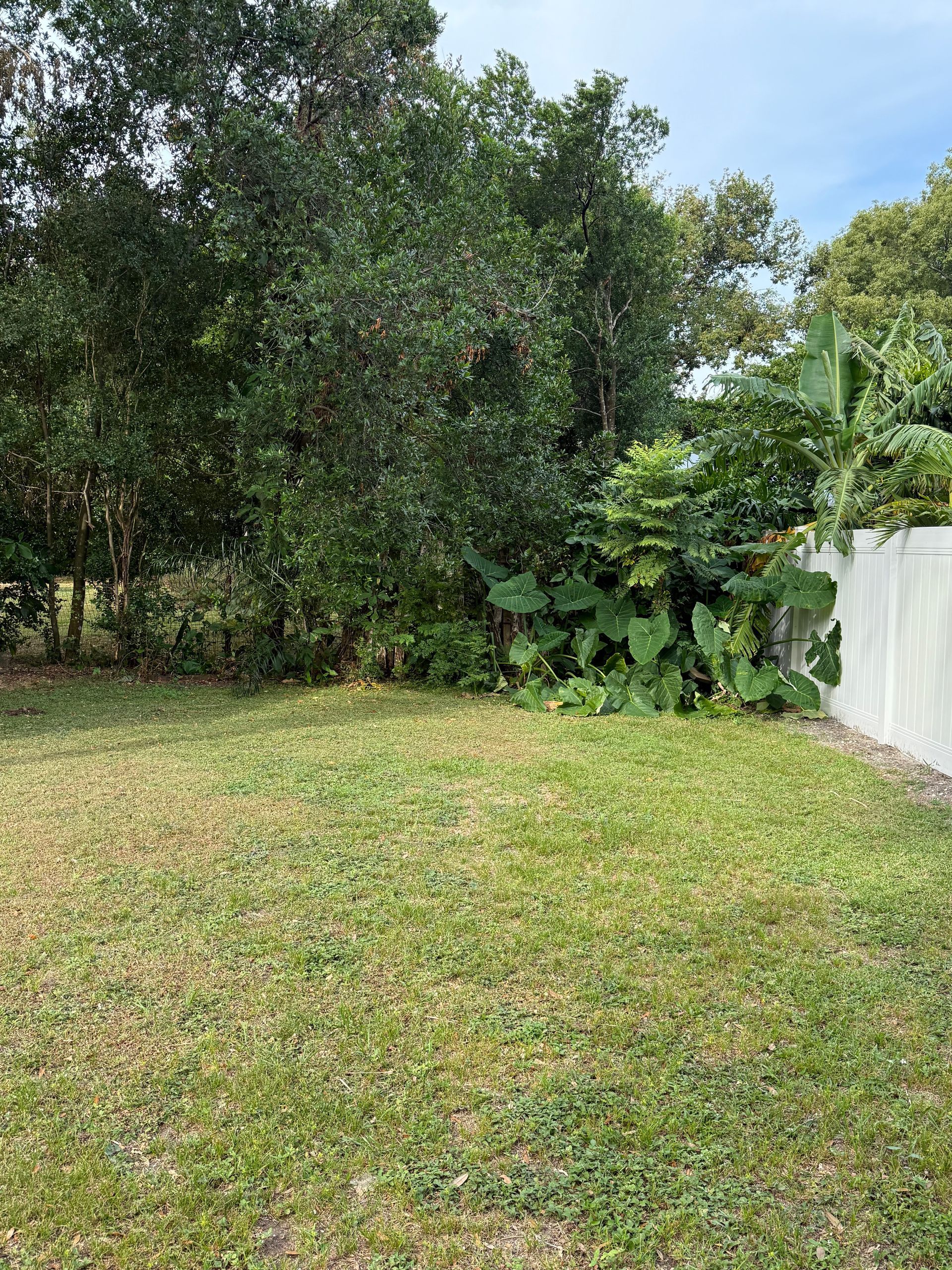 A large lush green field with trees in the background.