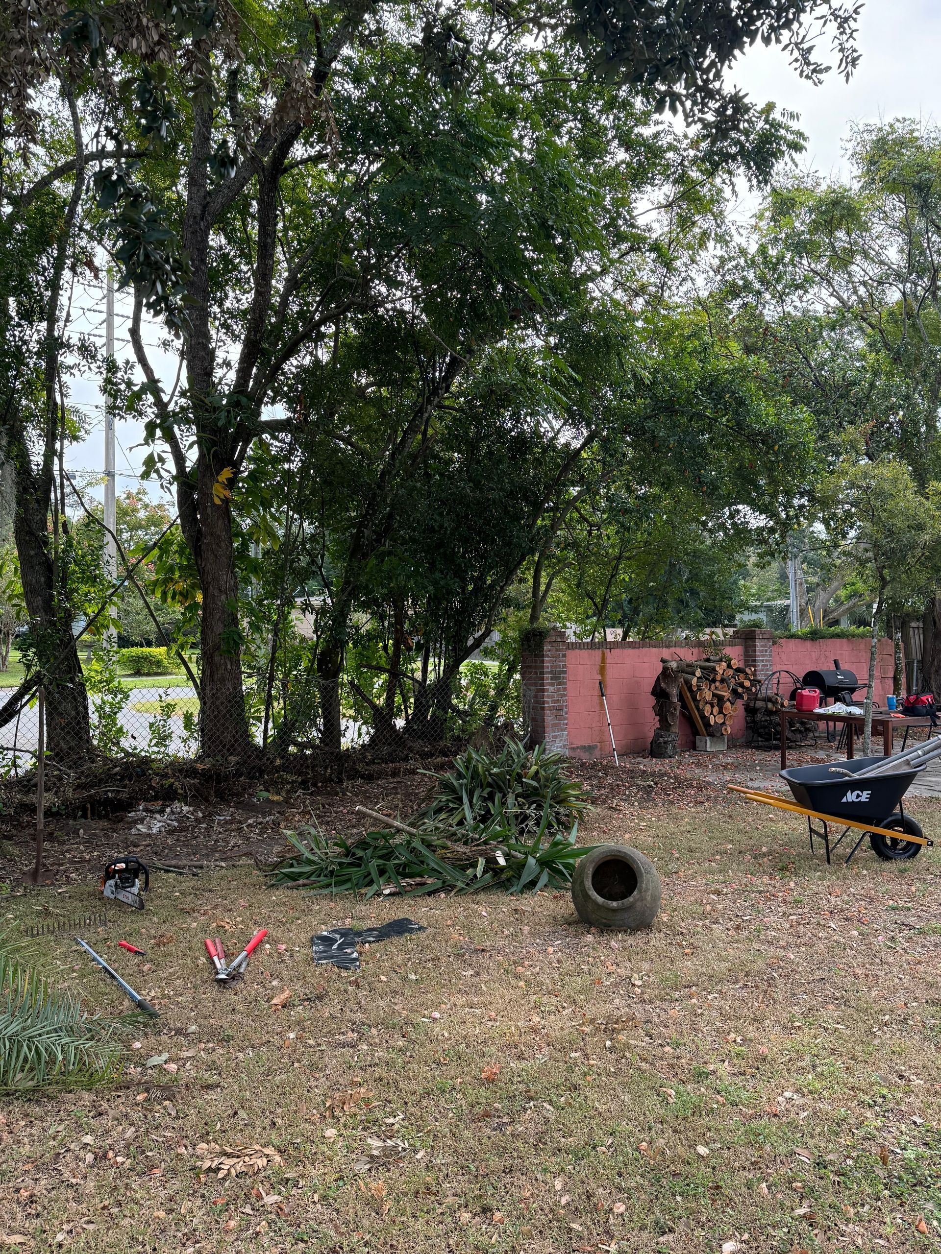 There is a wheelbarrow in the middle of the yard.