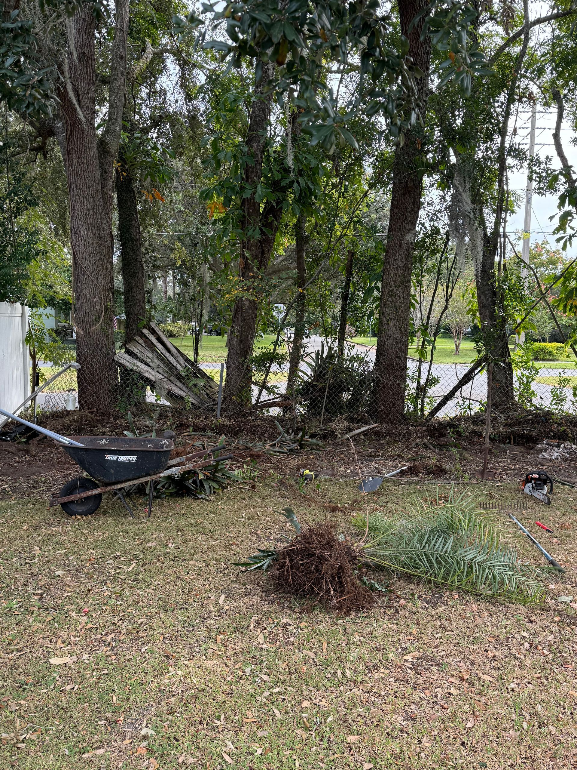 A wheelbarrow is sitting in the middle of a yard surrounded by trees.