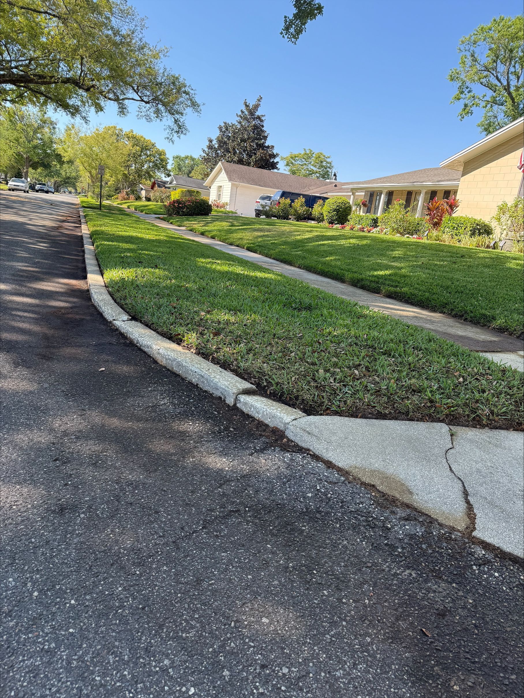 A driveway leading to a house with a lush green lawn.