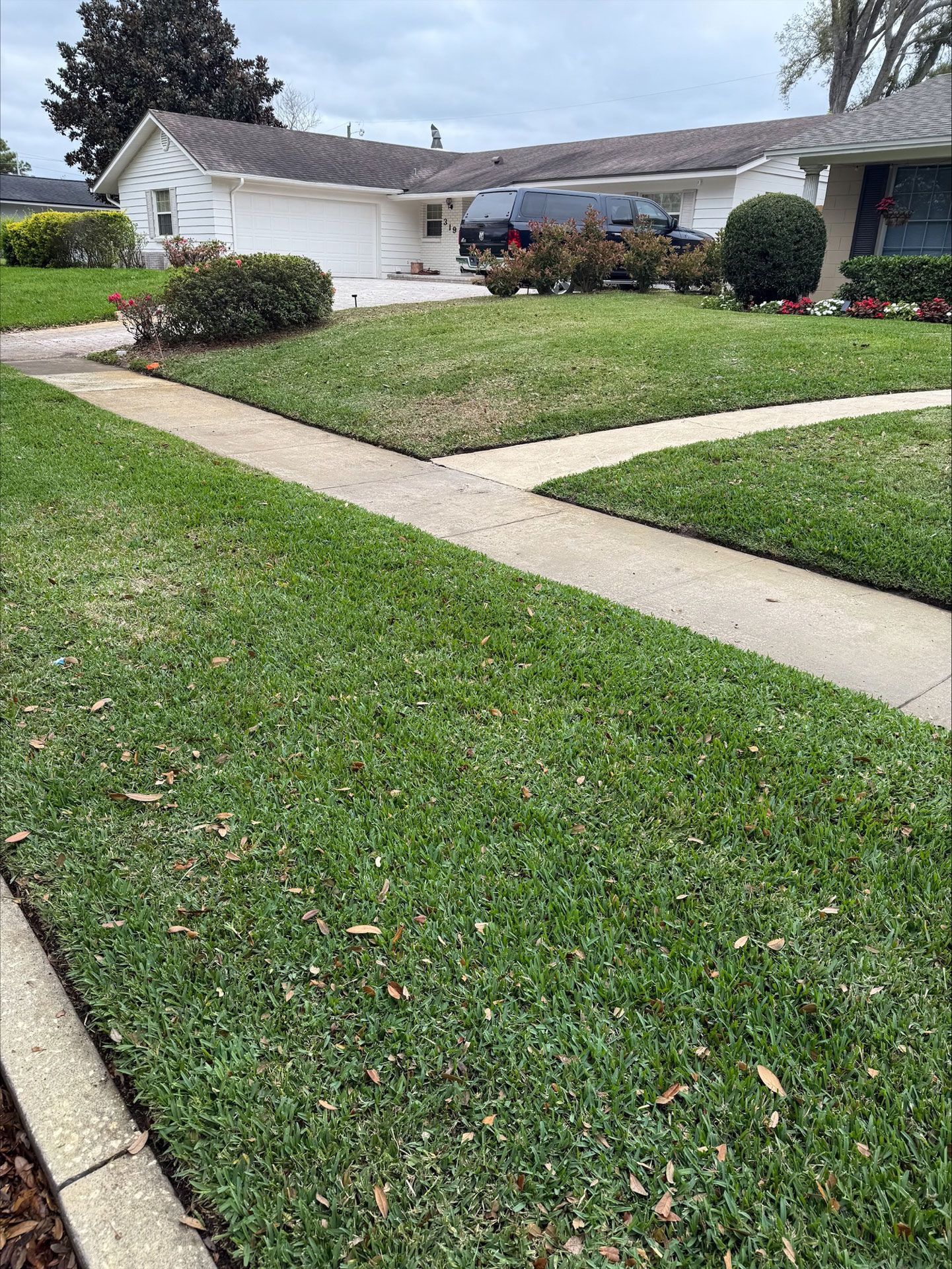 A house with a lush green lawn and a sidewalk in front of it.