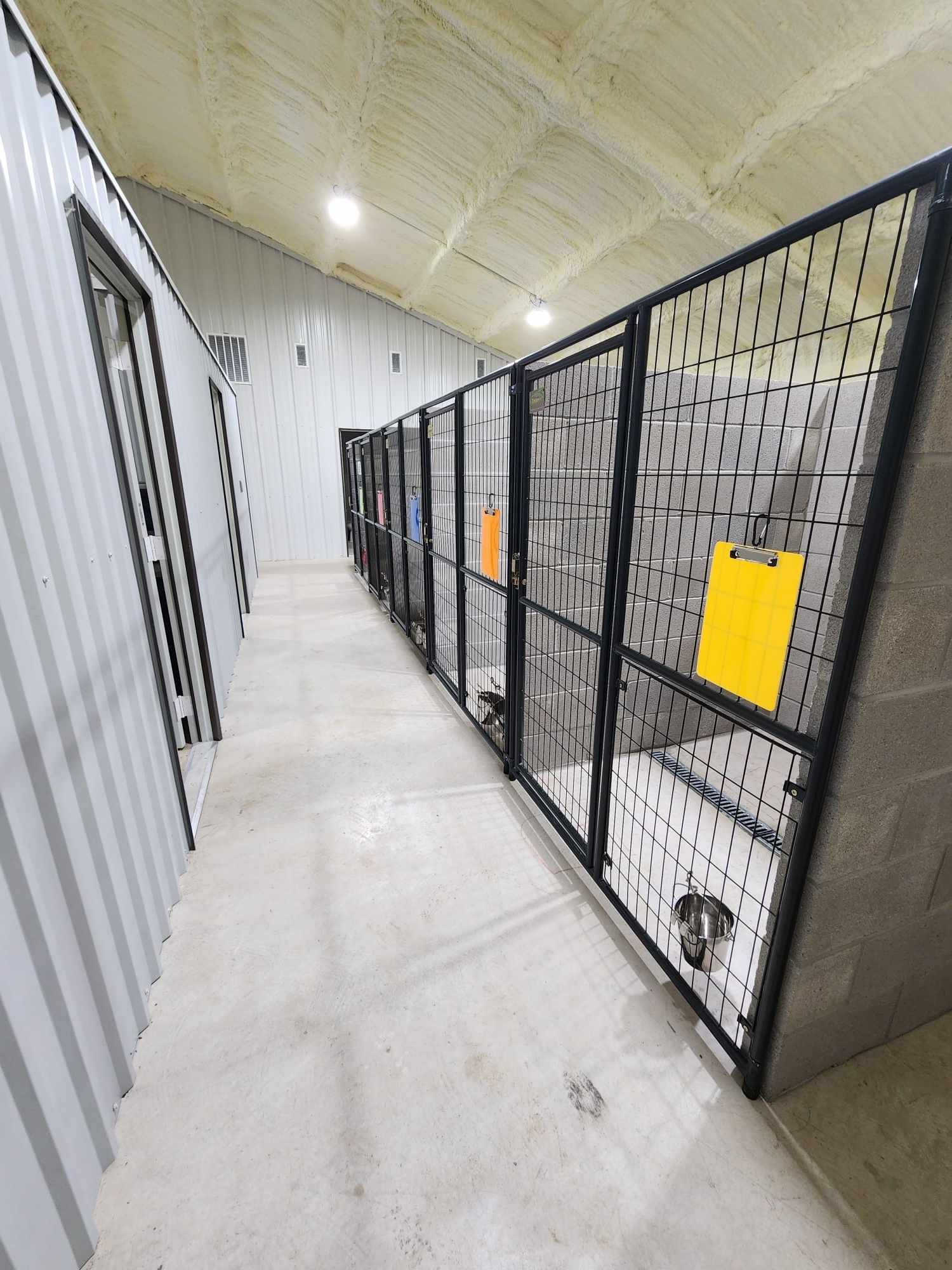 Indoor dog kennel with a row of metal enclosures and a concrete floor.