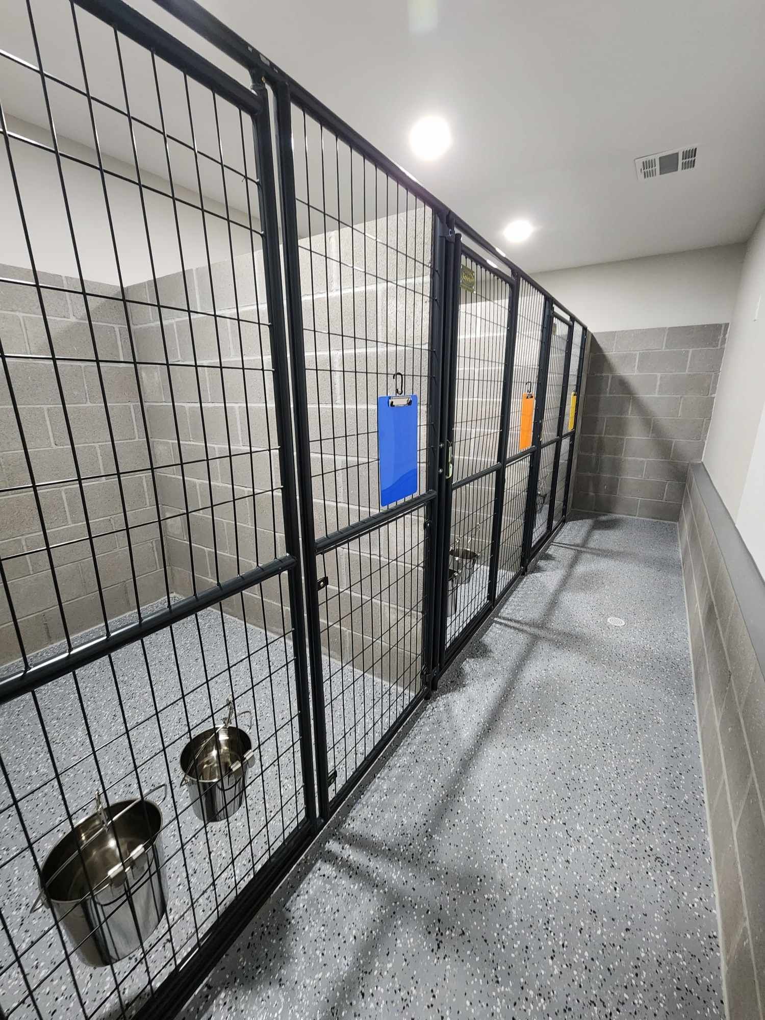 Dog kennels in a row, with metal bars and food/water bowls. Gray walls and speckled floor.