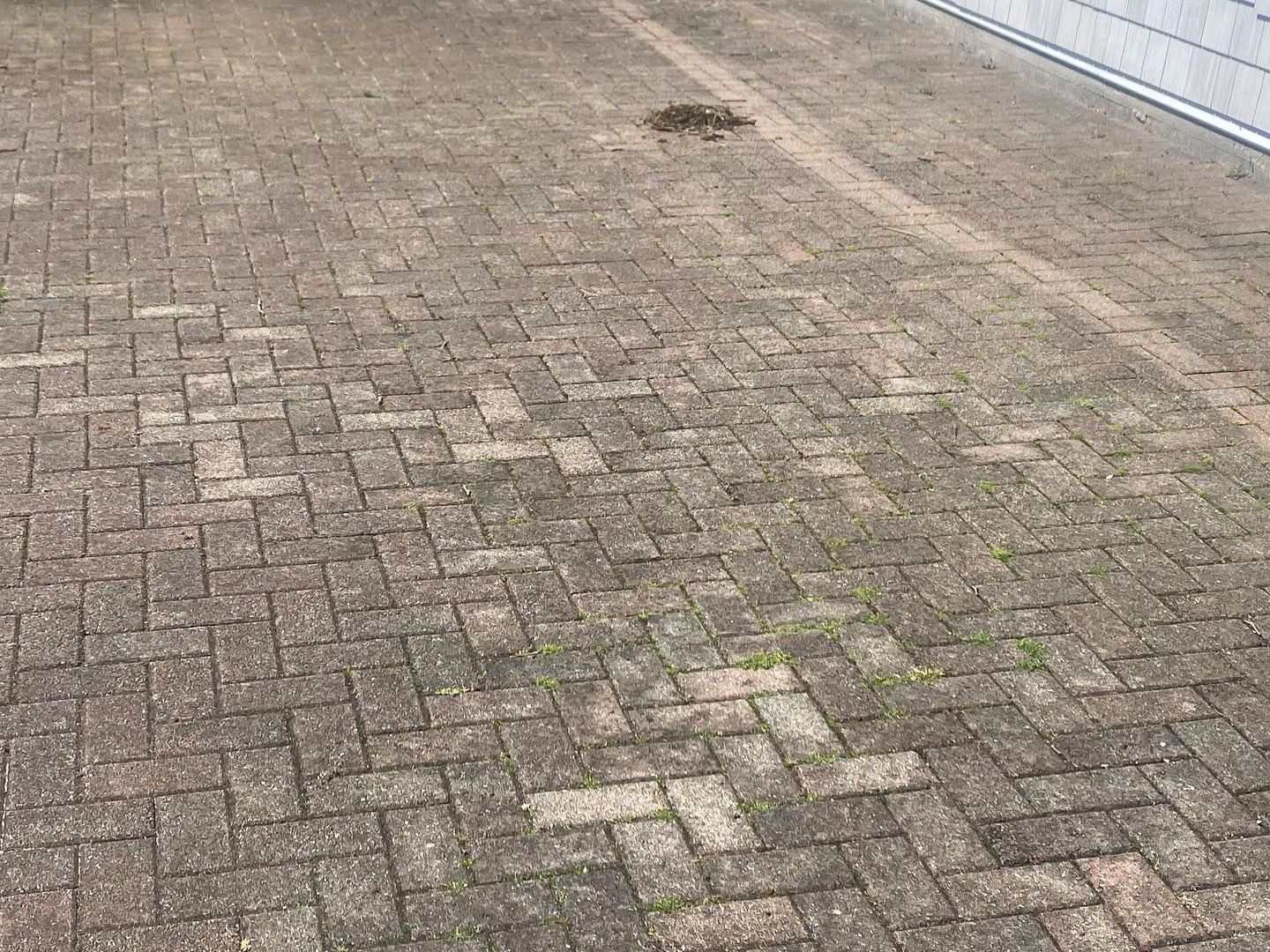 Patio Before Pressure Washing