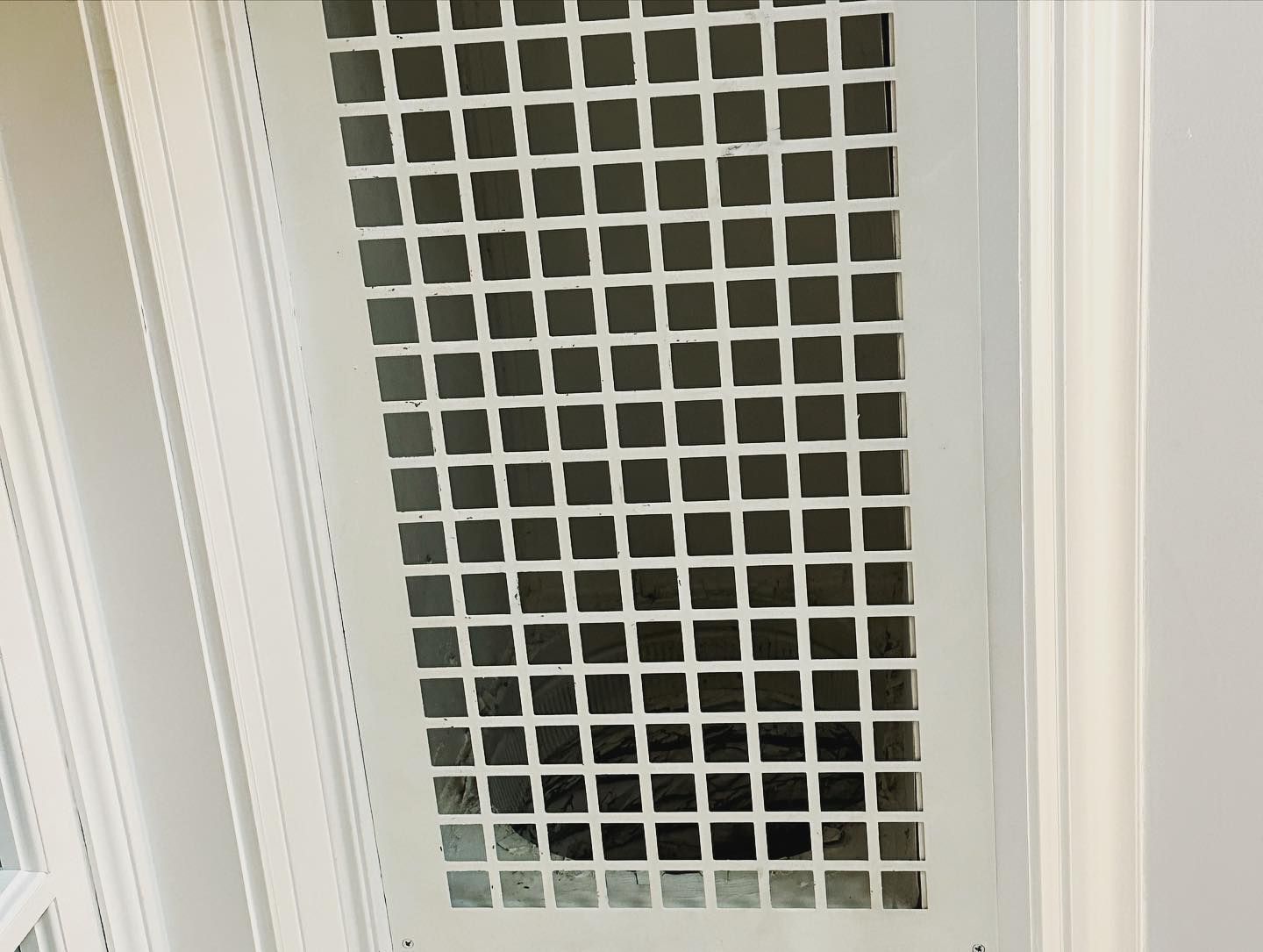 Air Duct Mold Remediation 
