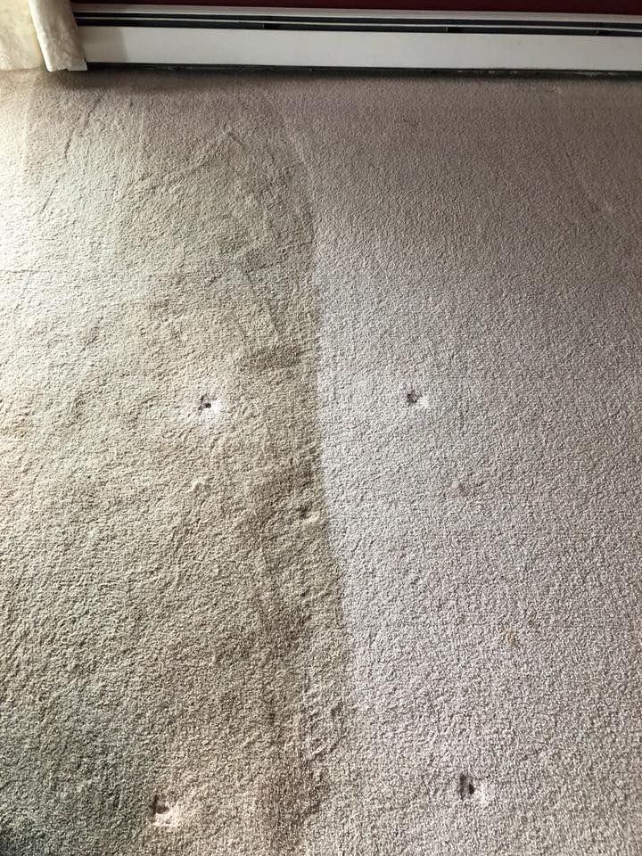 Carpet Cleaning Long Island
