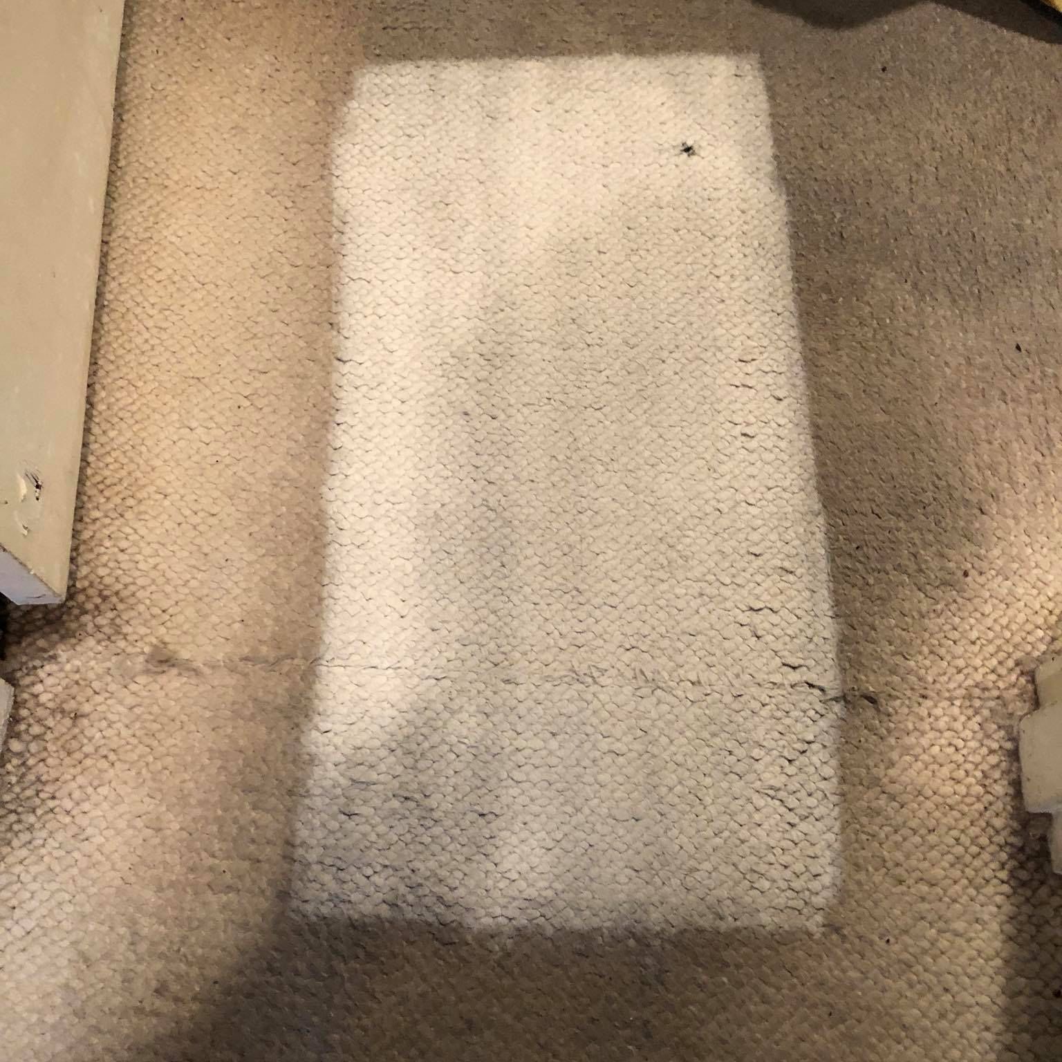 carpet cleaning Long Island 