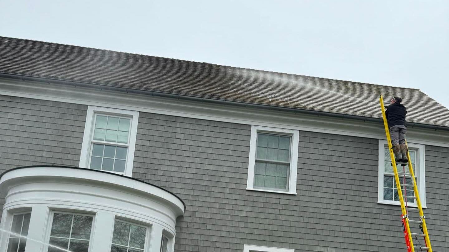 Technician soft washing black streaks off a shingle roof on Long Island