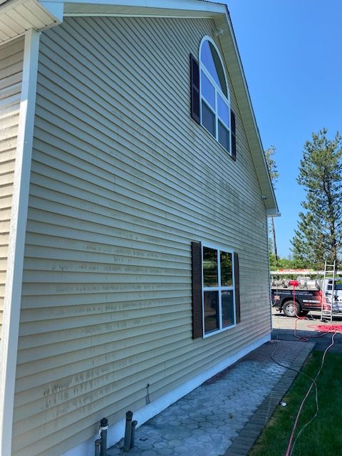 Algae on siding before cleaning