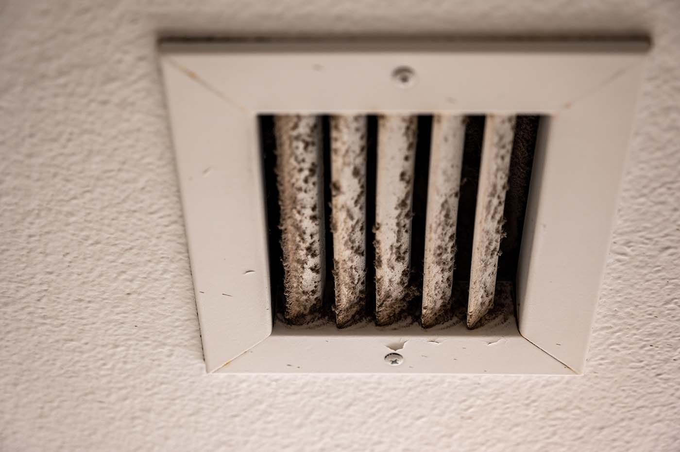 HVAC Mold Remediation Long Island