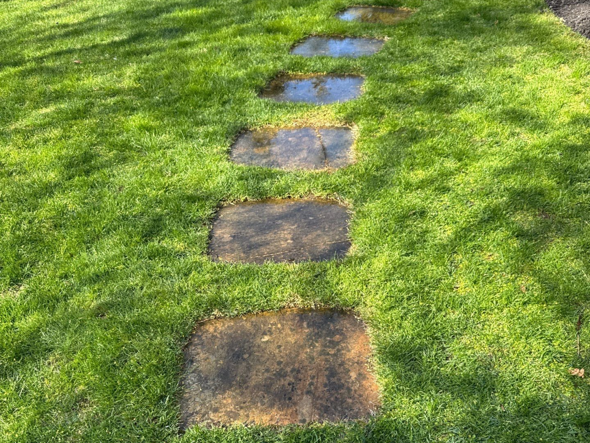 stepping stones before soft washing treatment at a home in Westhampton NY