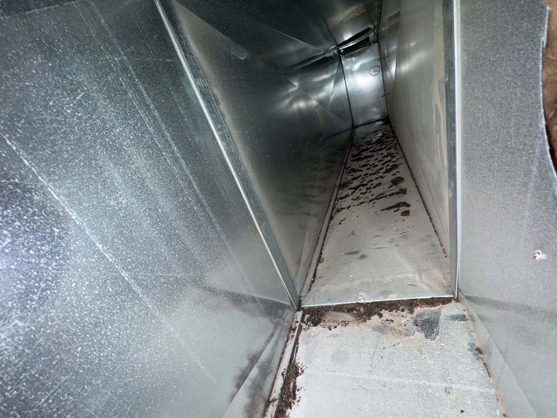 Mold in air ducts at a home in Suffolk County on Long Island 
