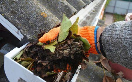 limpieza de canalones y bajantes obturados por hojas y suciedad en Avilés, Gijón