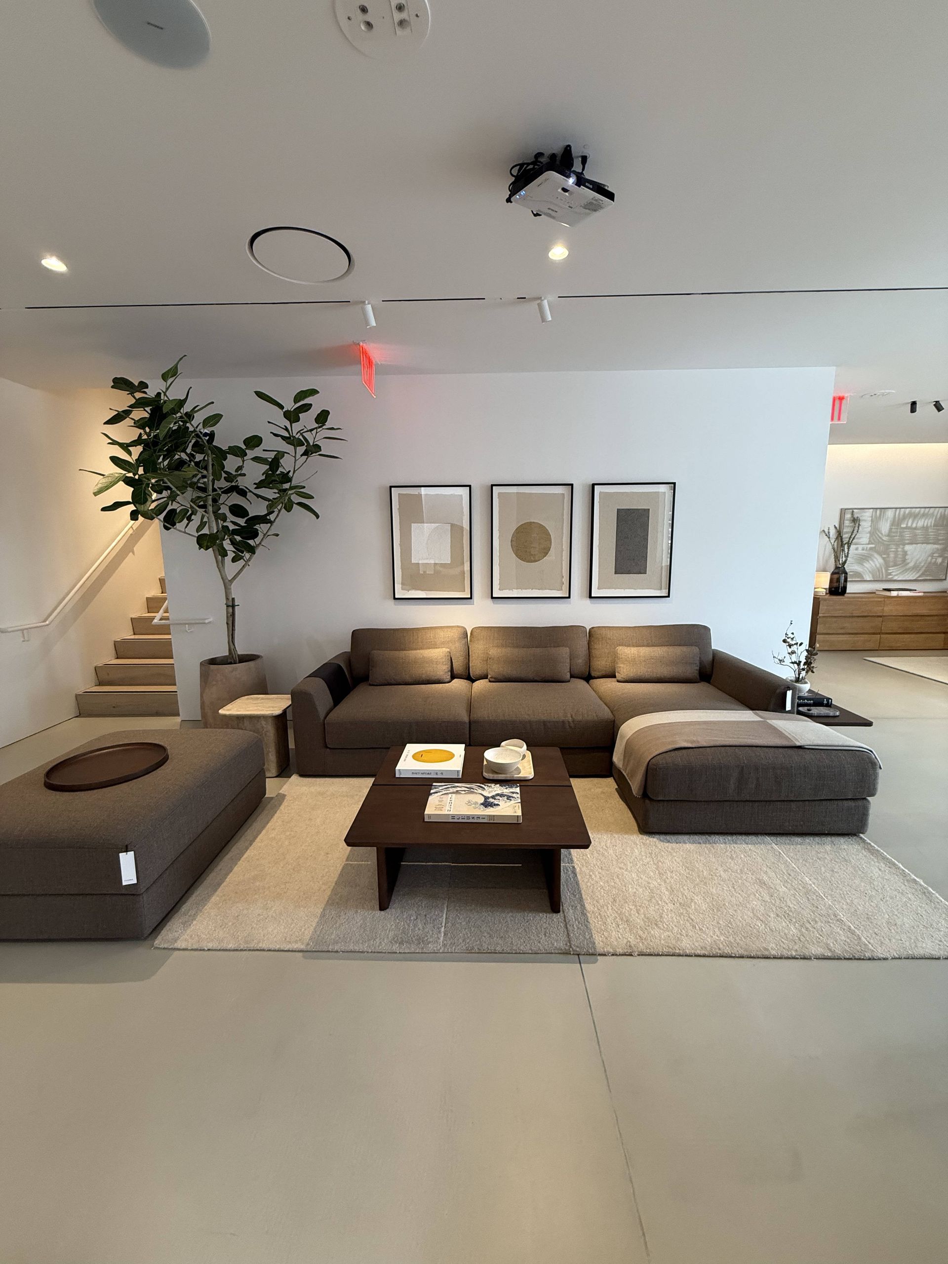 Modern living room with beige sofas, coffee table, floor lamp, plant, and framed wall art