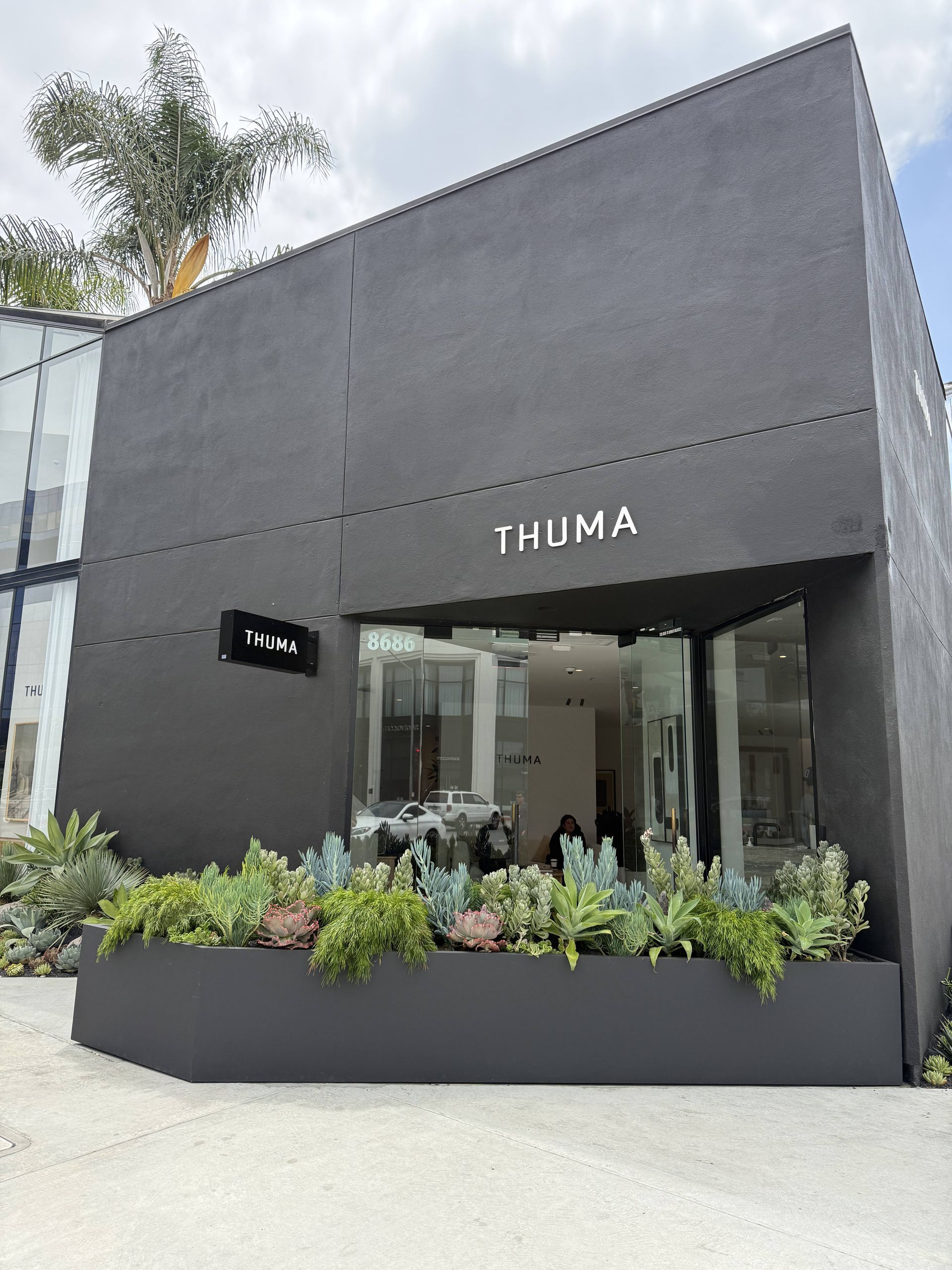 Modern gray storefront with sign “THUMA” and a planter of green plants at the entrance